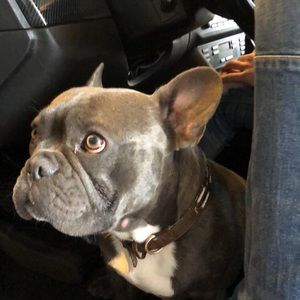 Meet your Posher, Dax